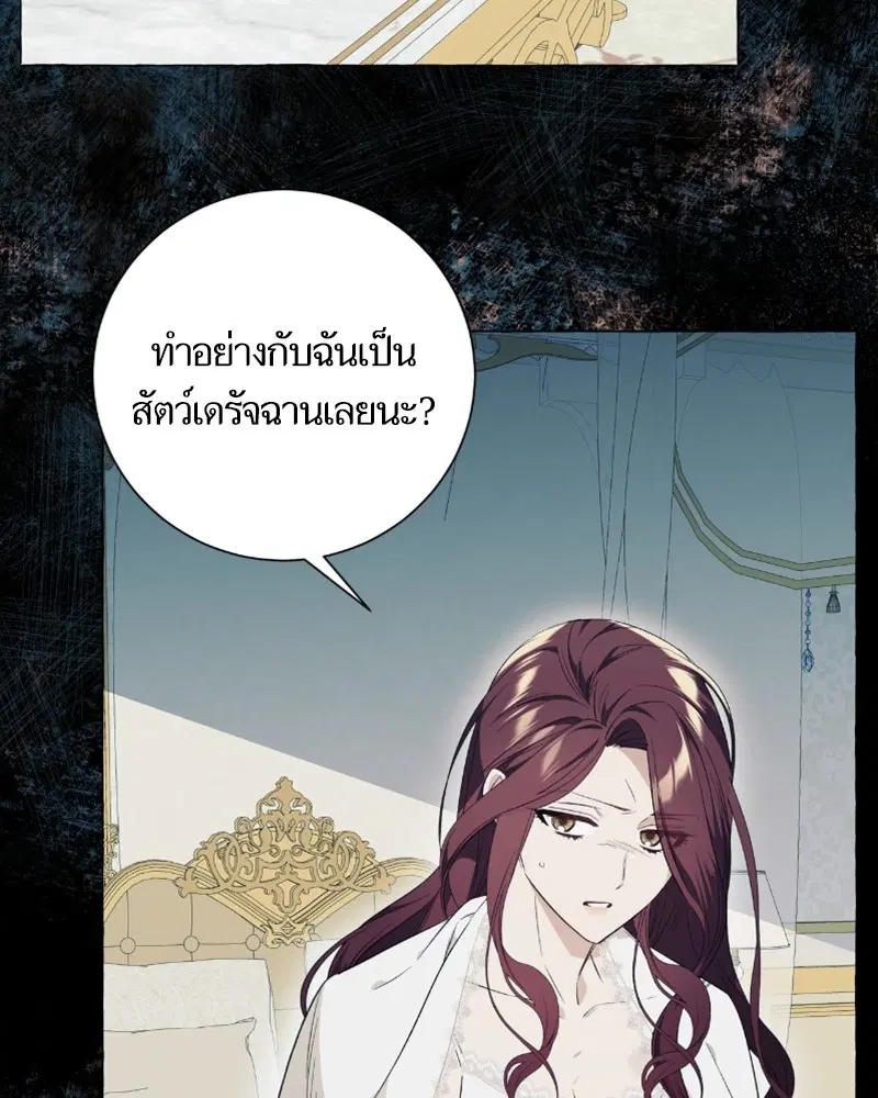 หน้า 31 จาก 118