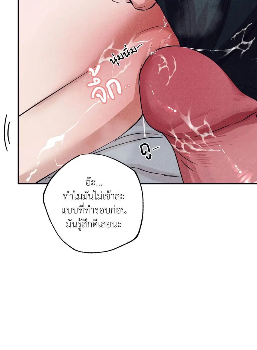 หน้า 41 จาก 80