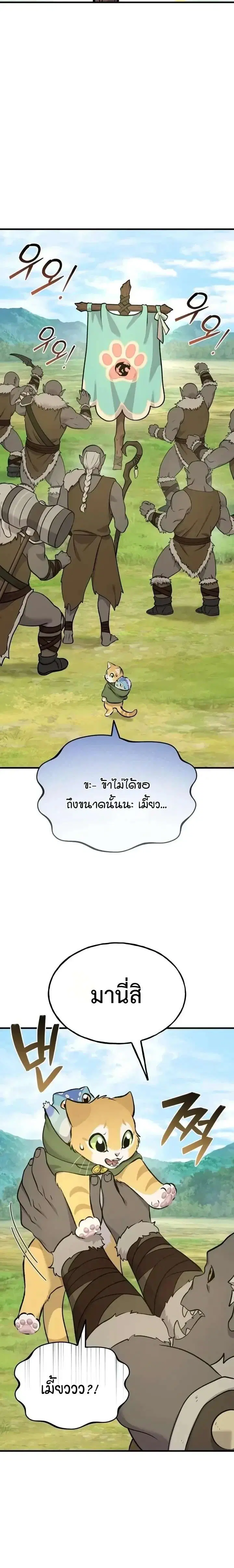 หน้า 17 จาก 43