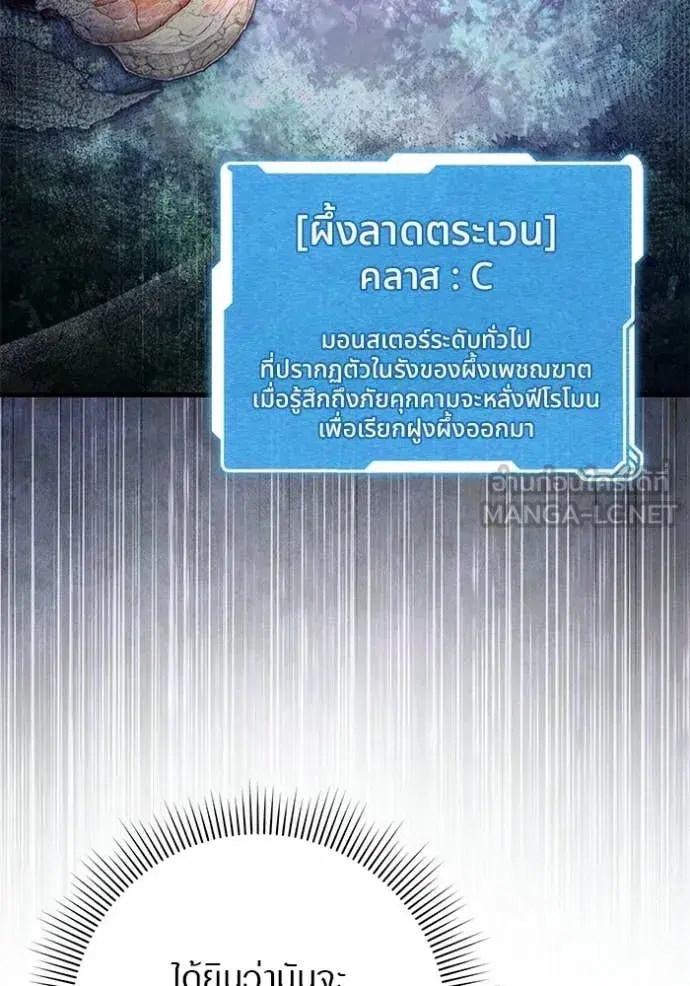 หน้า 28 จาก 156