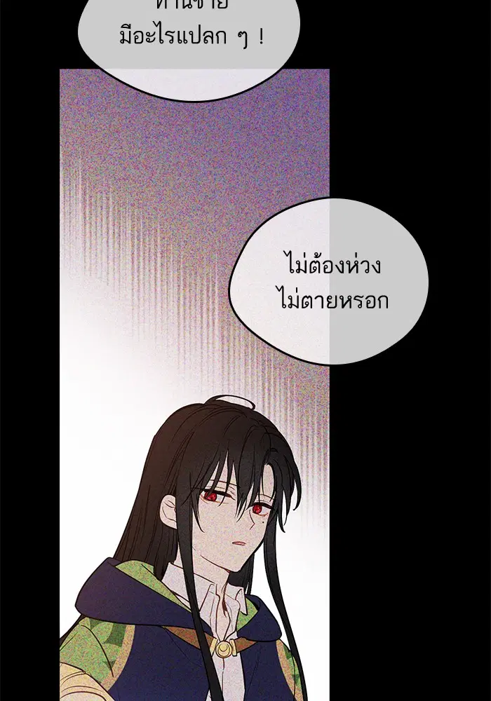หน้า 49 จาก 88