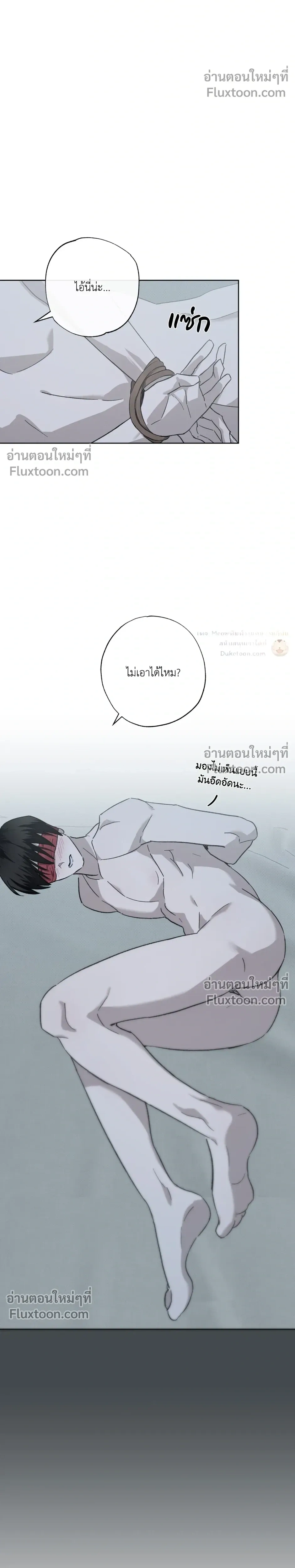 หน้า 17 จาก 35