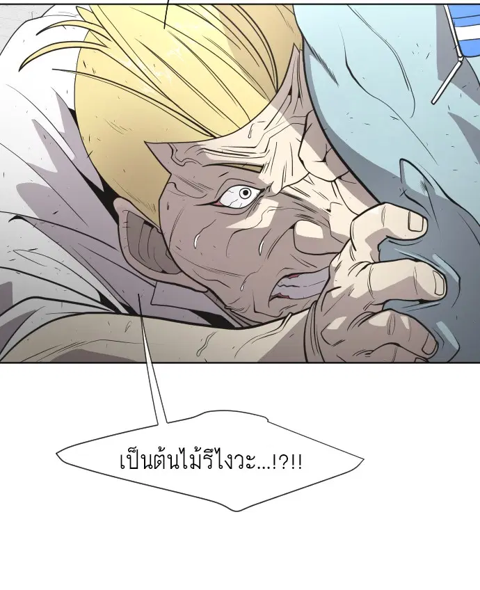 หน้า 42 จาก 122