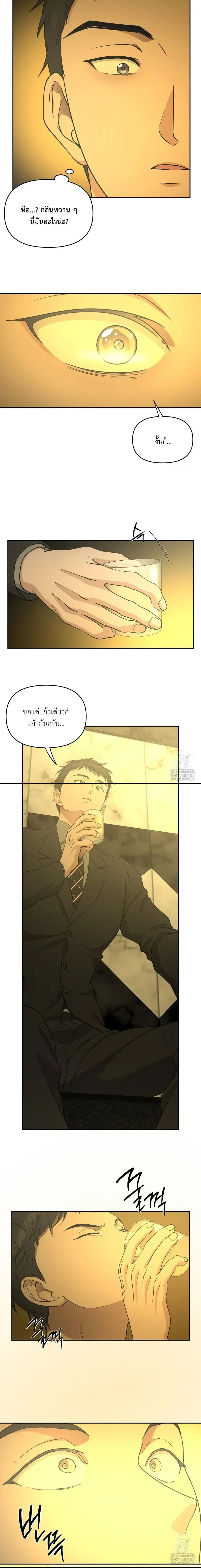 หน้า 12 จาก 13