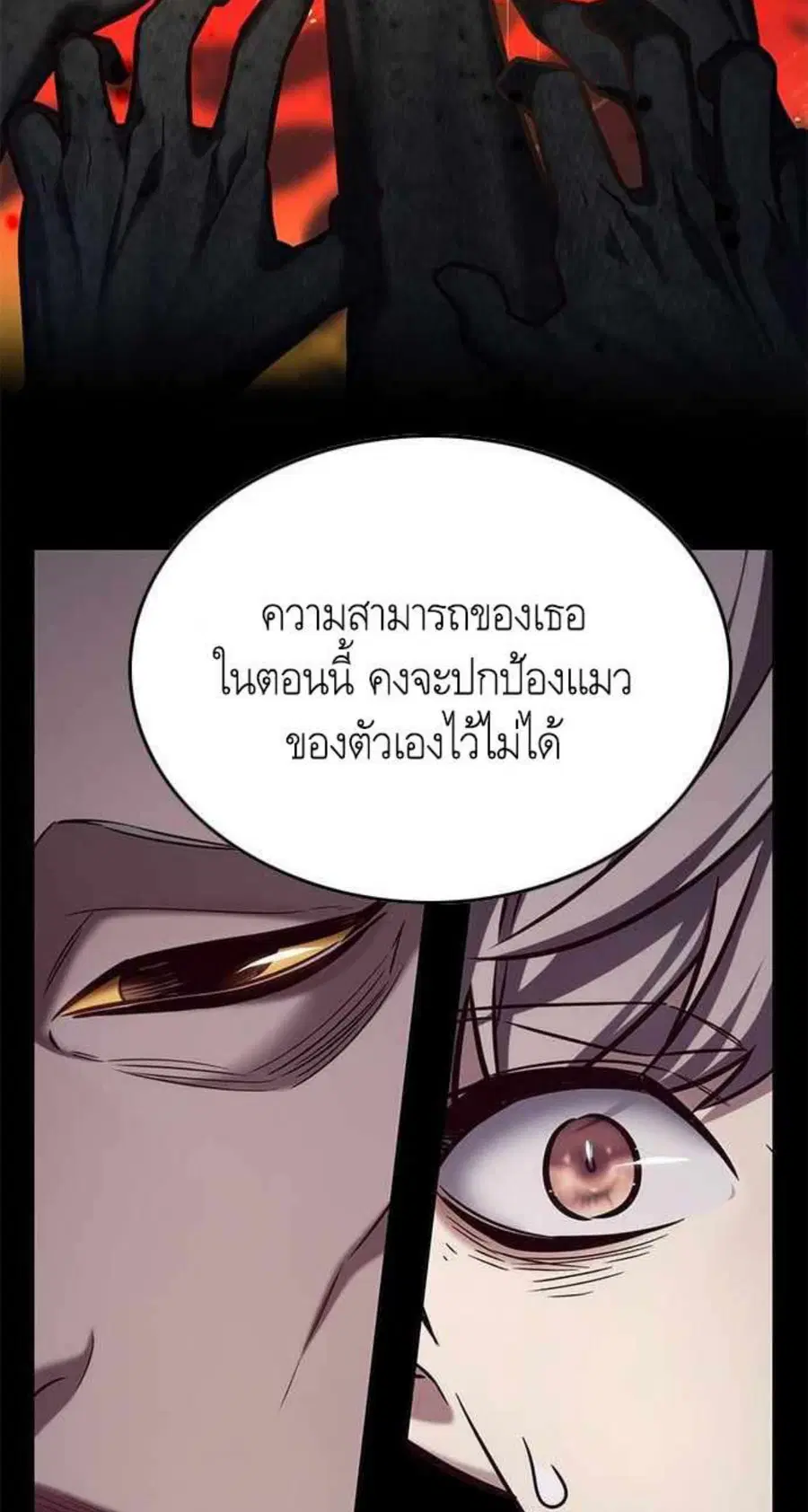 หน้า 24 จาก 80
