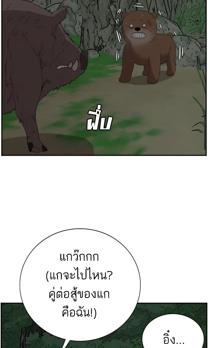 หน้า 48 จาก 107