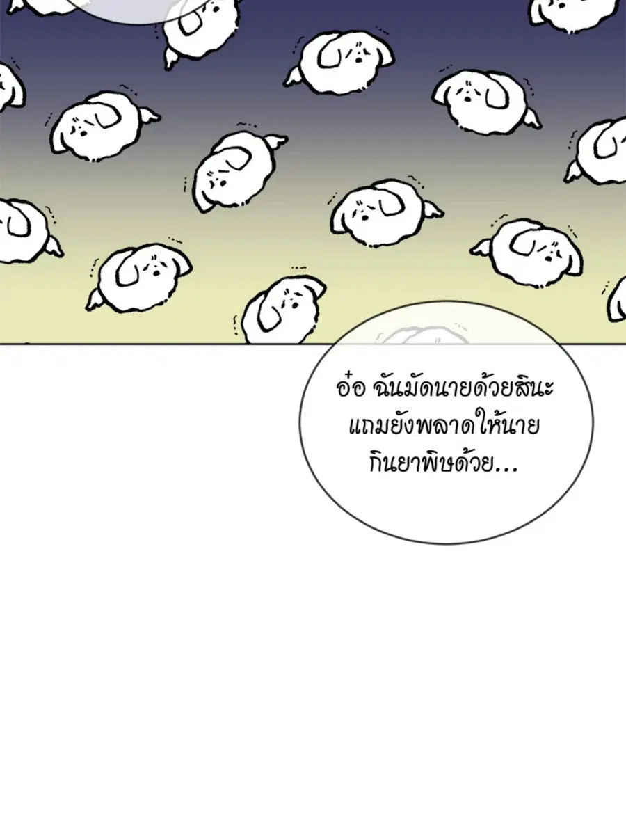 หน้า 13 จาก 114