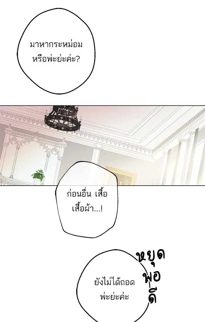หน้า 43 จาก 81
