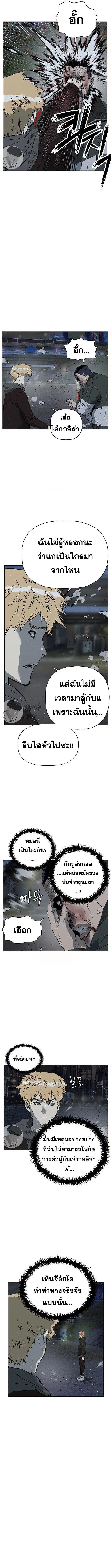 หน้า 17 จาก 19
