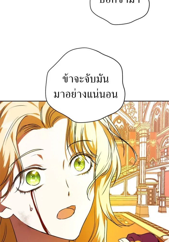 หน้า 29 จาก 159