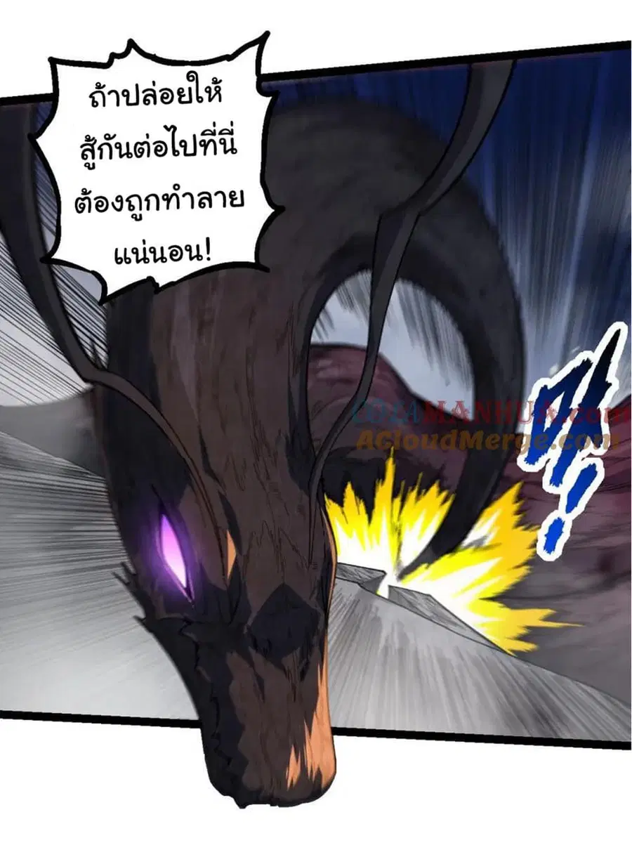 หน้า 26 จาก 49