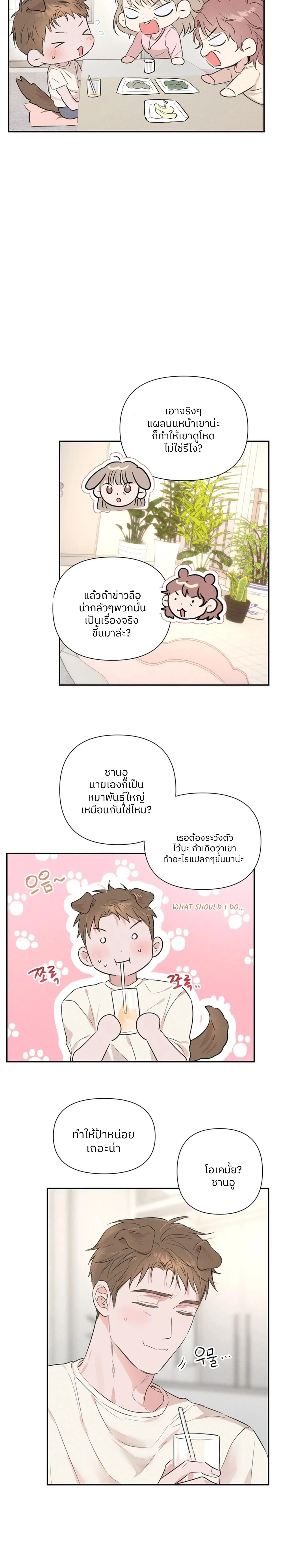 หน้า 12 จาก 17