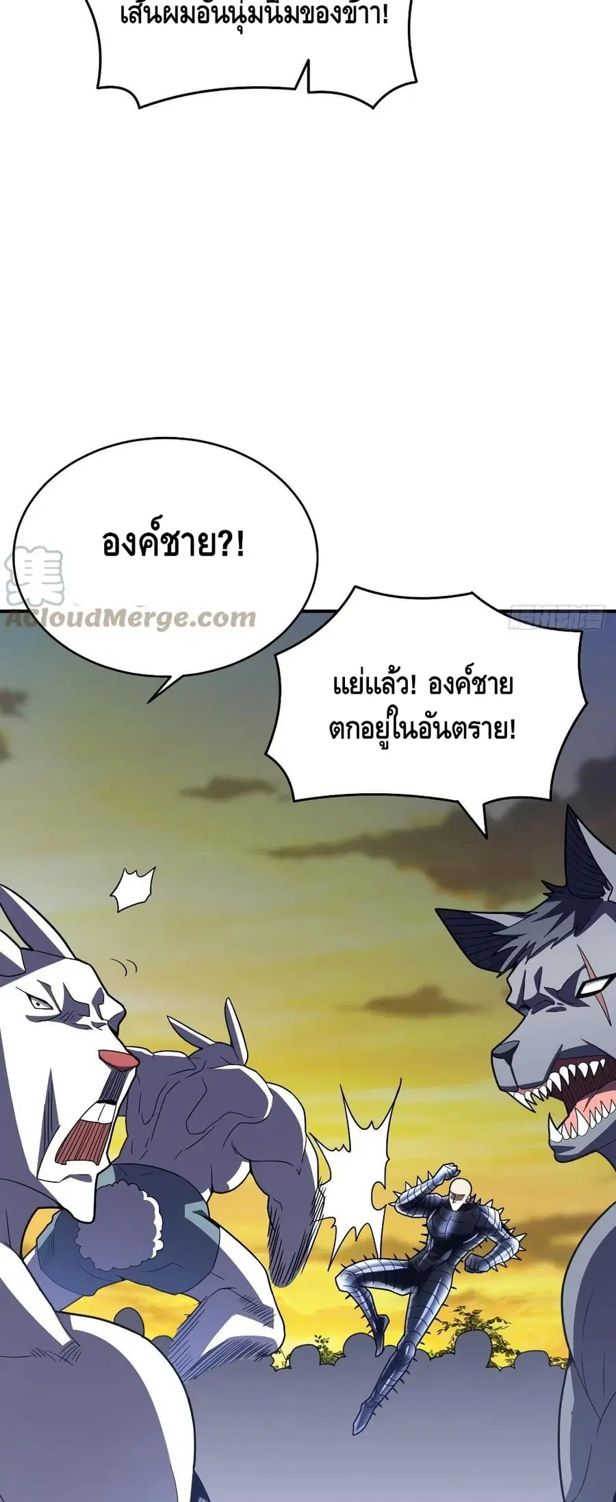 หน้า 17 จาก 42