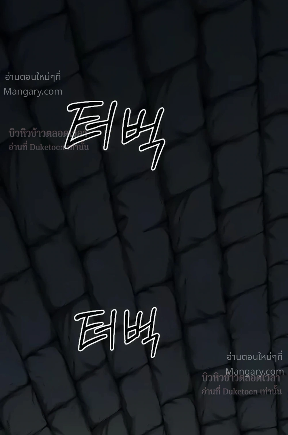 หน้า 47 จาก 52