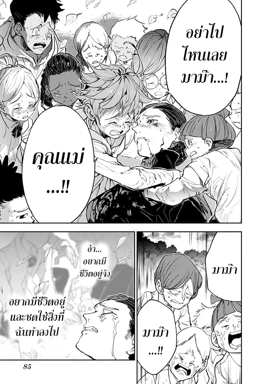 หน้า 13 จาก 19