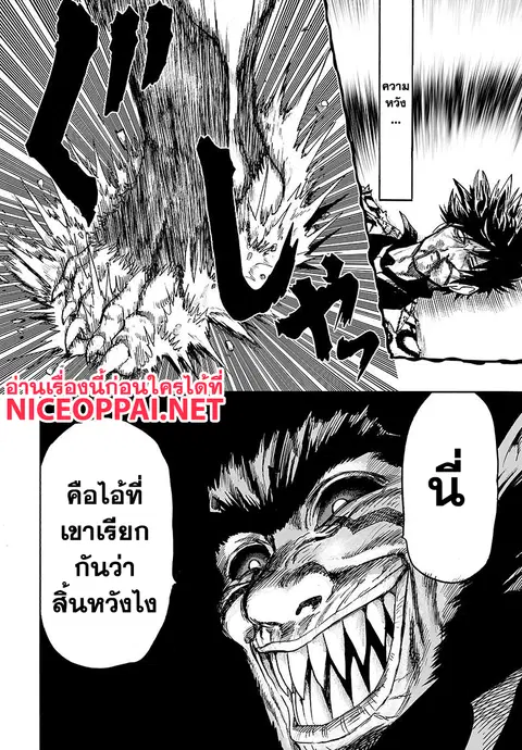 หน้า 17 จาก 24