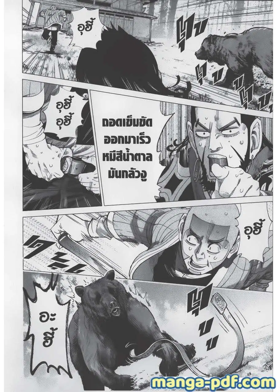 หน้า 5 จาก 17