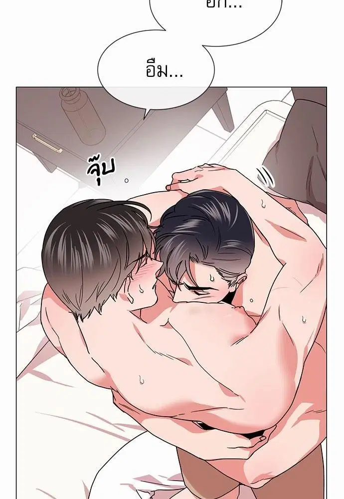 หน้า 28 จาก 44