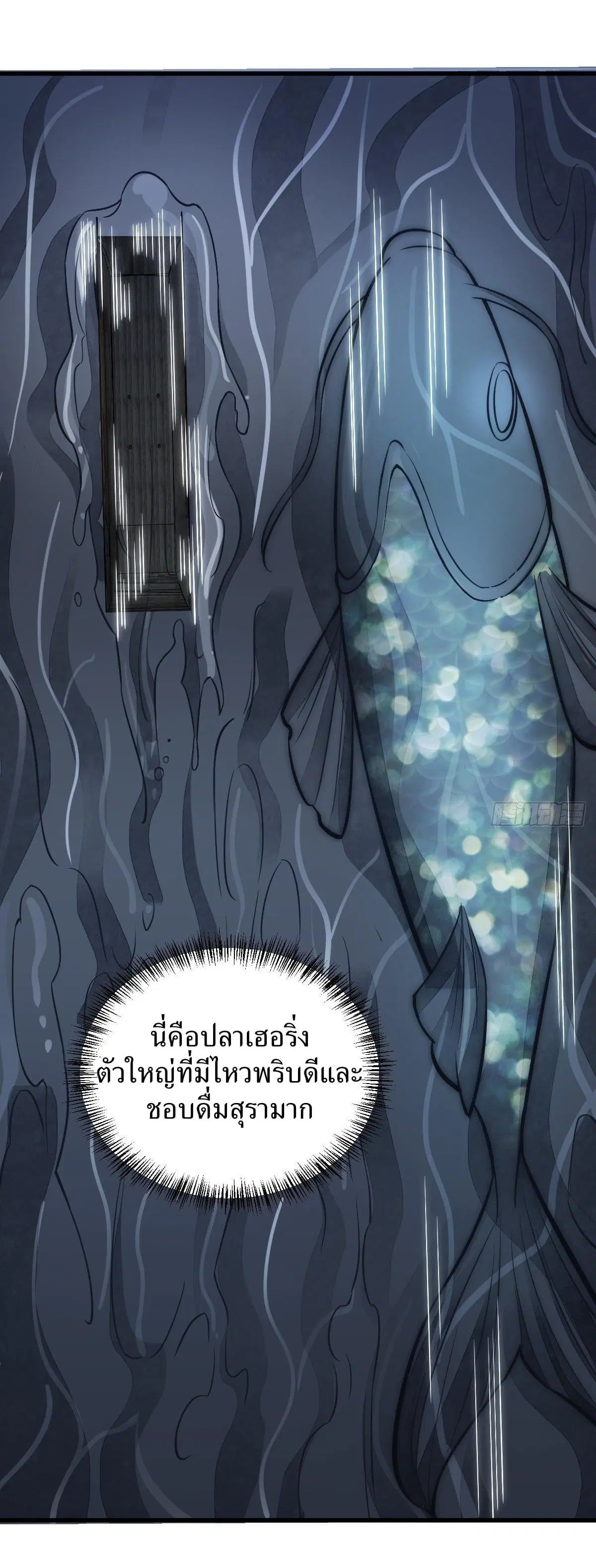 หน้า 31 จาก 41