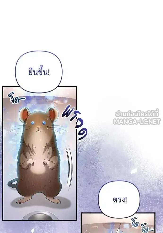 หน้า 9 จาก 113