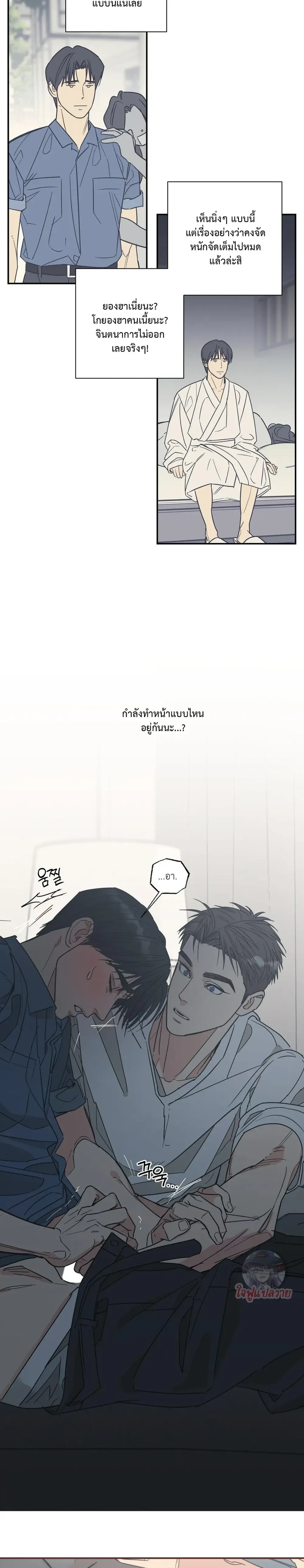 หน้า 14 จาก 19