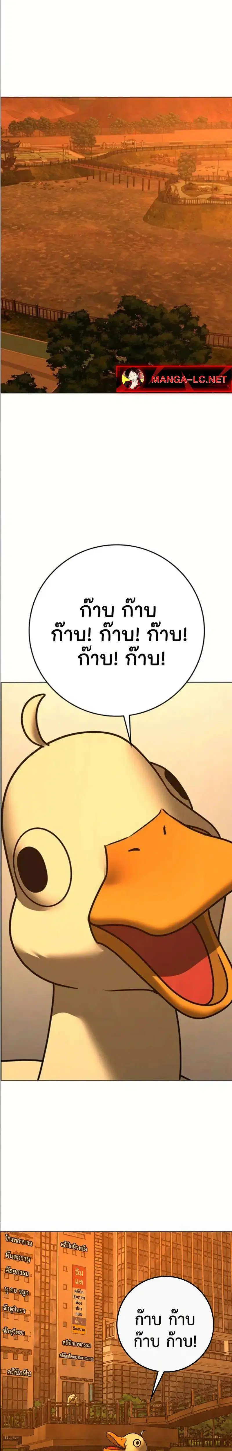 หน้า 15 จาก 52
