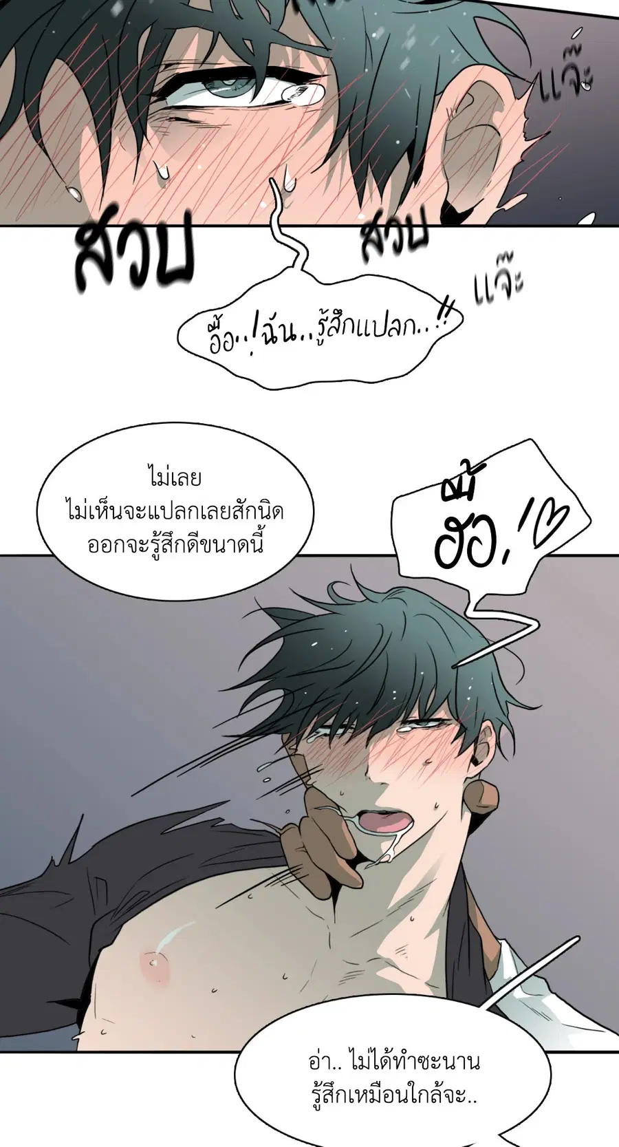หน้า 27 จาก 66