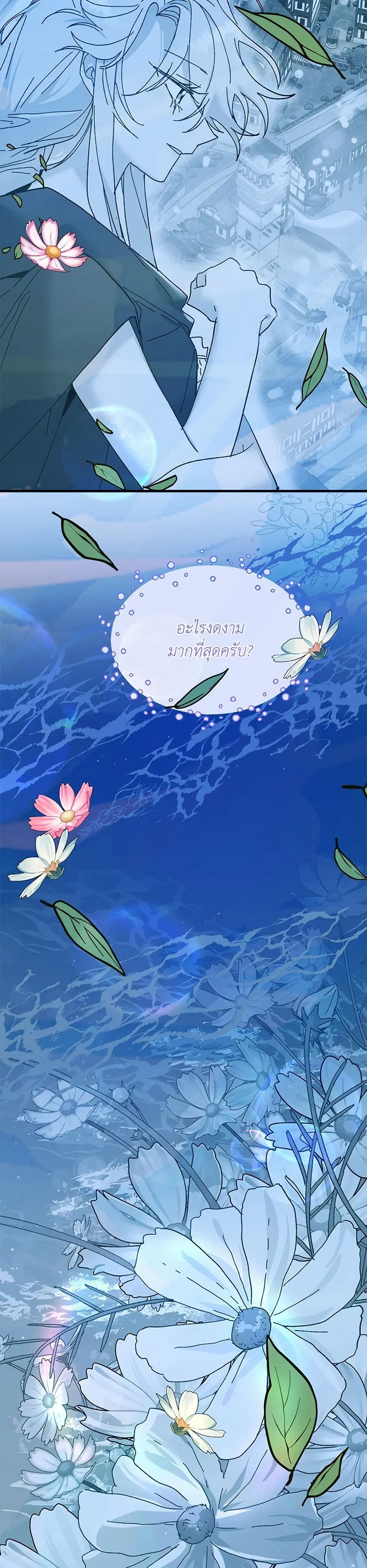 หน้า 24 จาก 48