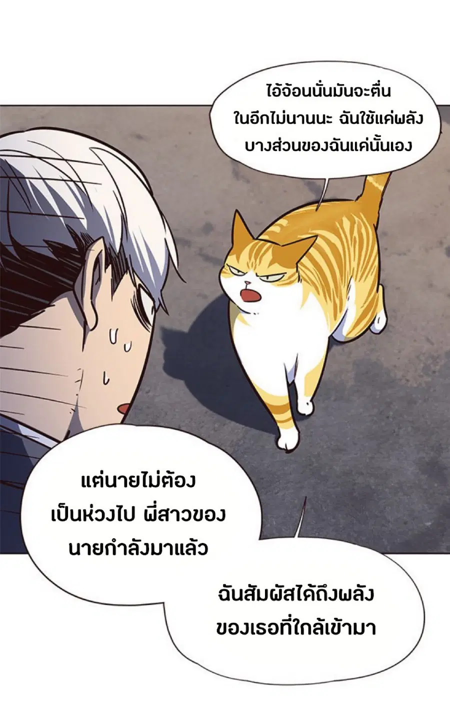 หน้า 66 จาก 82