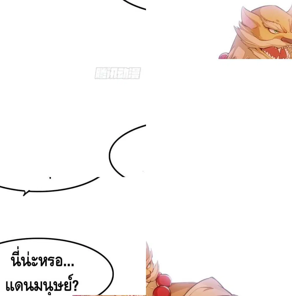 หน้า 5 จาก 13