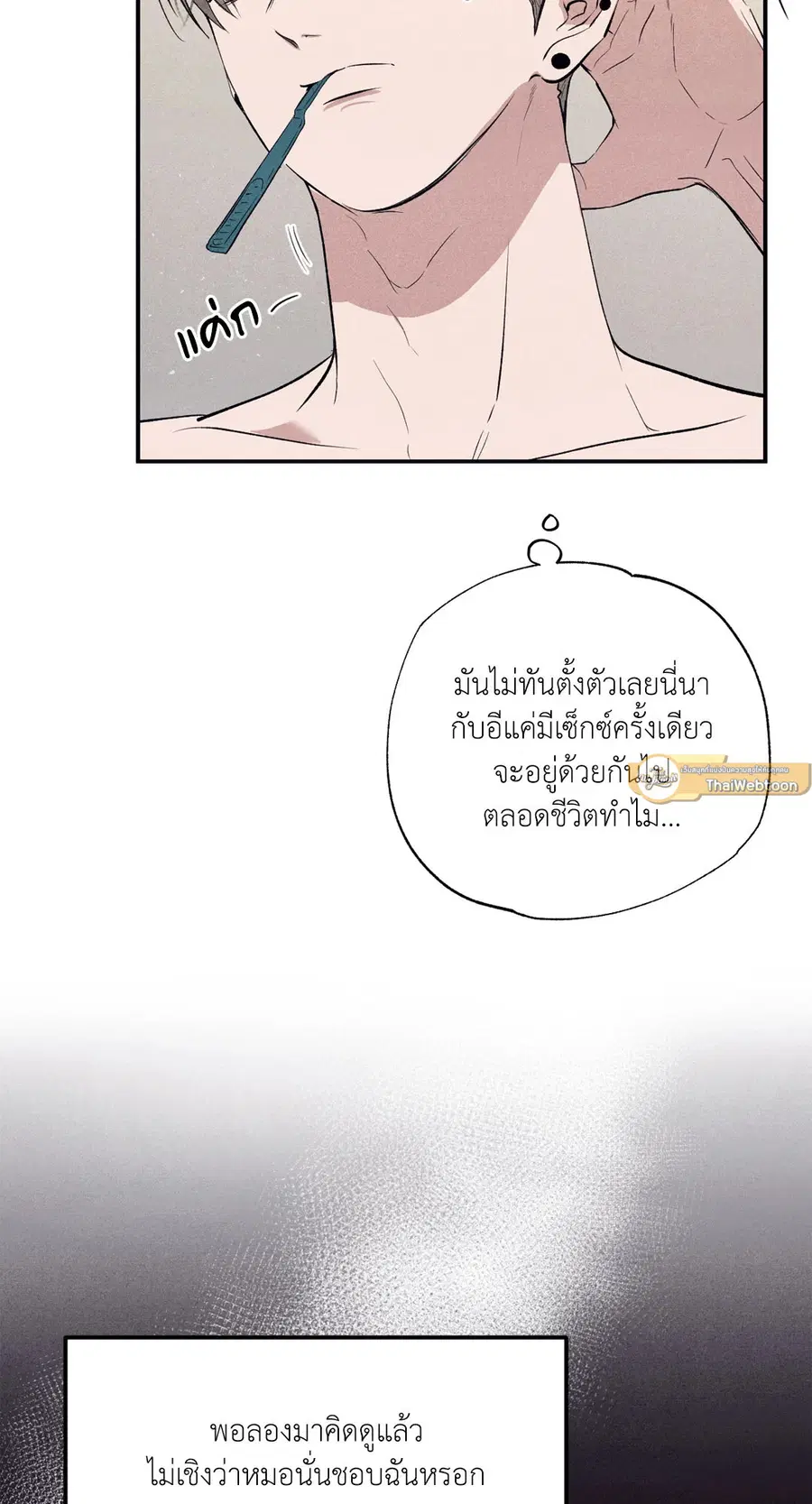 หน้า 24 จาก 77