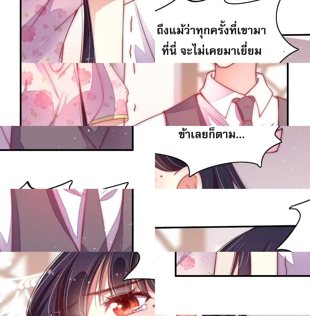 หน้า 11 จาก 14