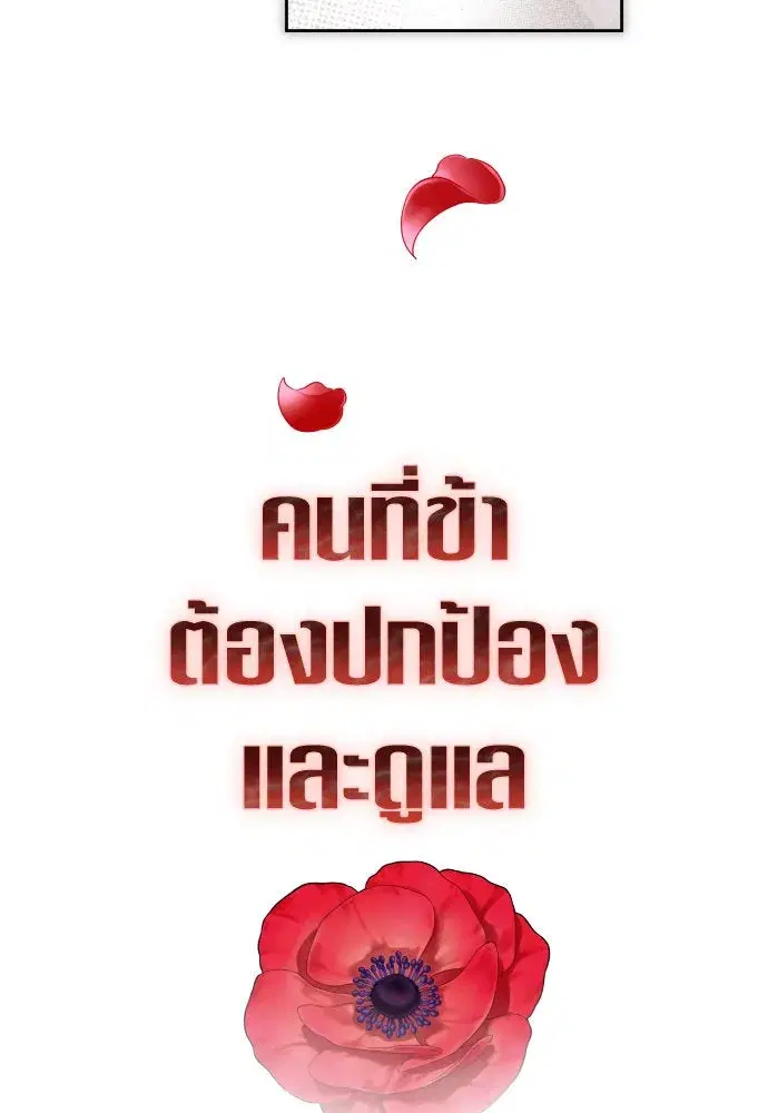 หน้า 85 จาก 148