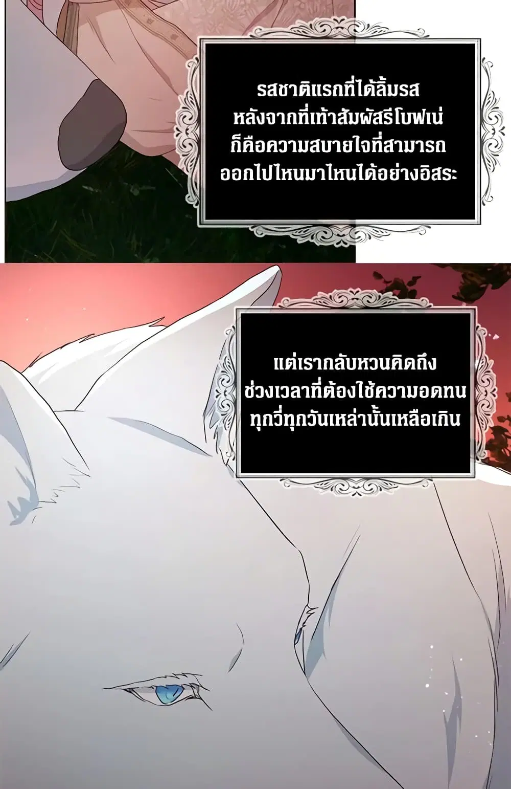 หน้า 31 จาก 48