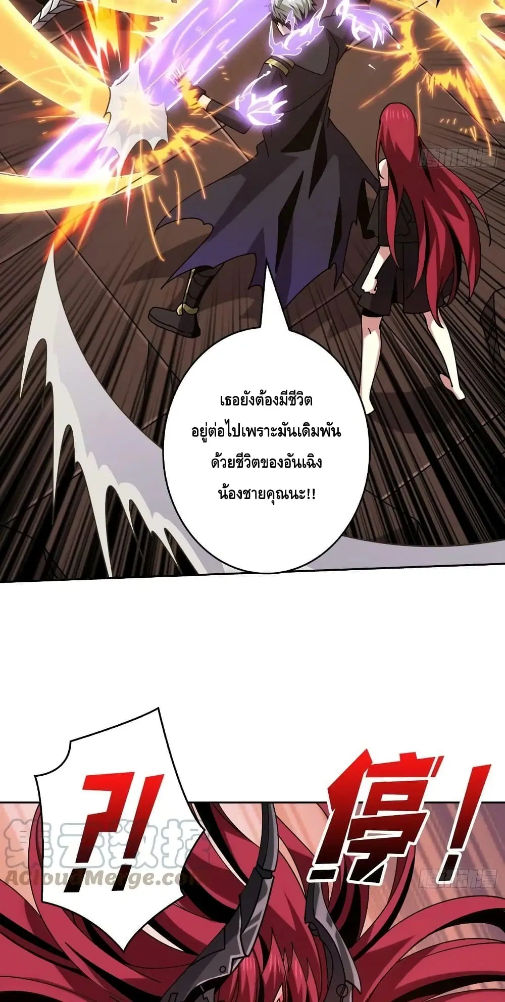 หน้า 23 จาก 42