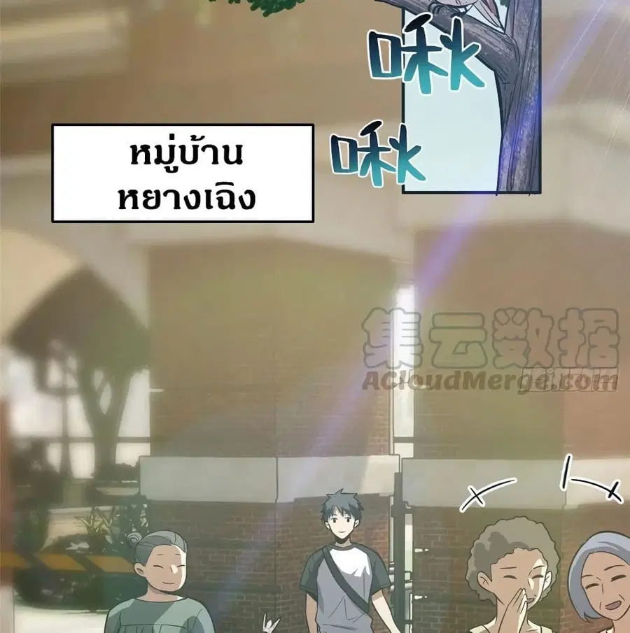 หน้า 17 จาก 73