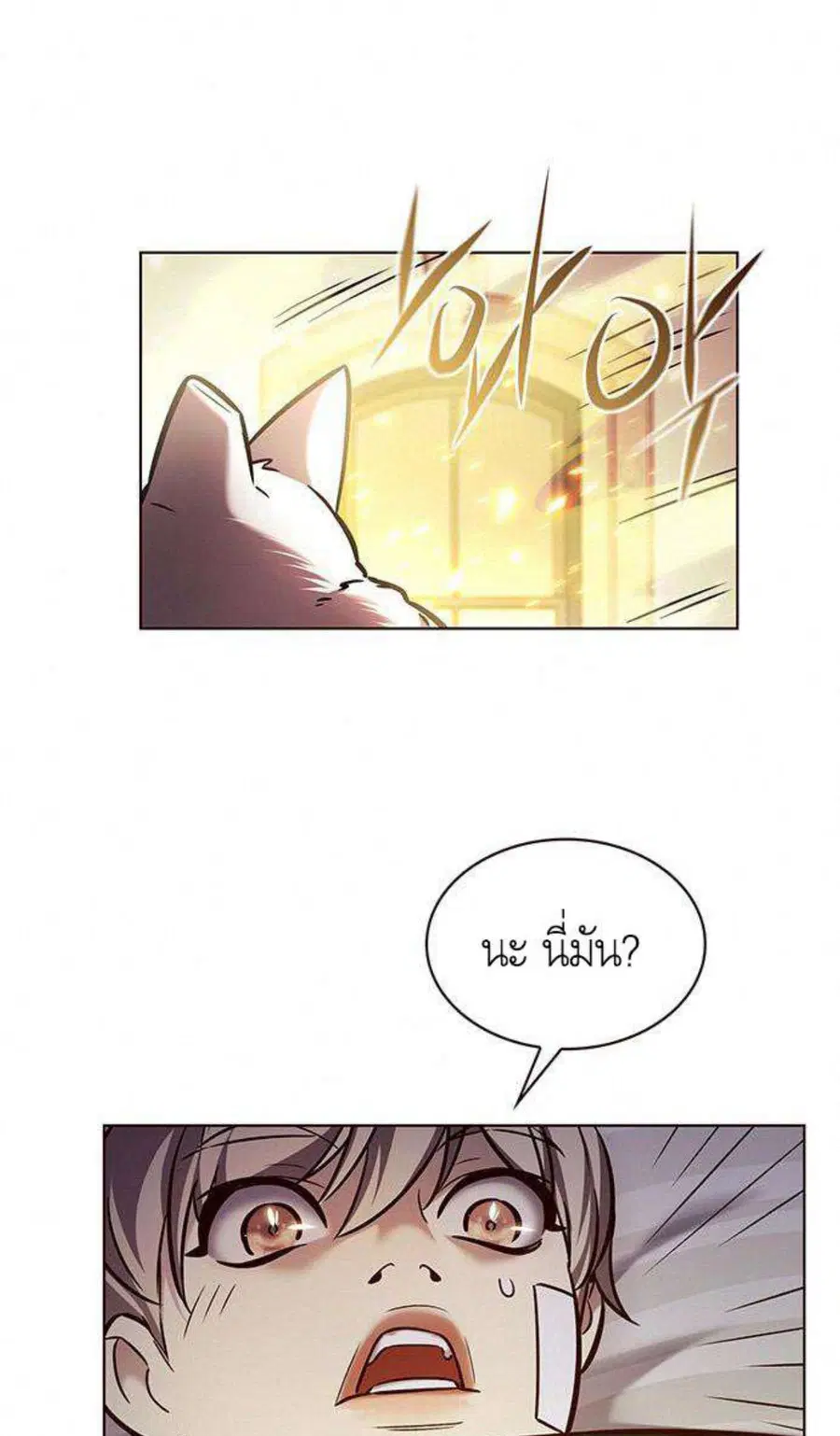 หน้า 66 จาก 100