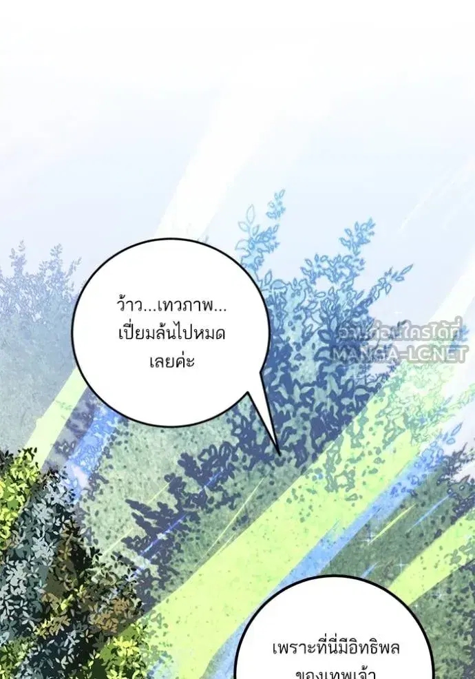 หน้า 36 จาก 142
