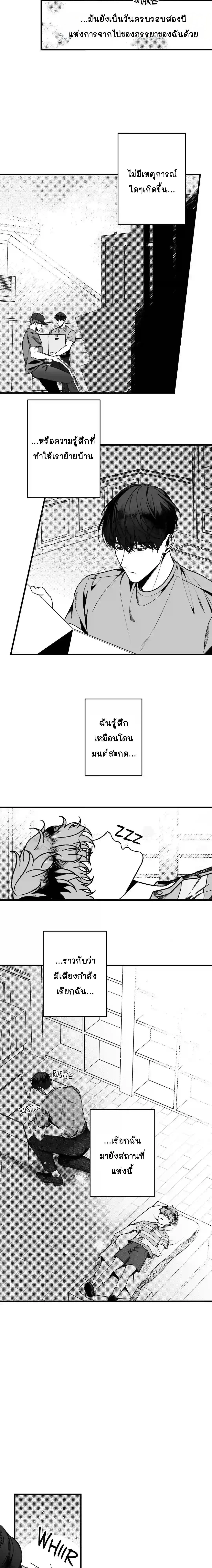 หน้า 6 จาก 16