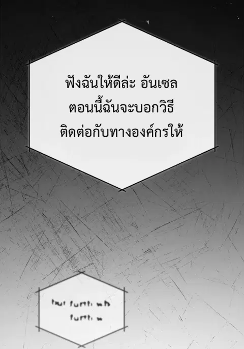 หน้า 29 จาก 136