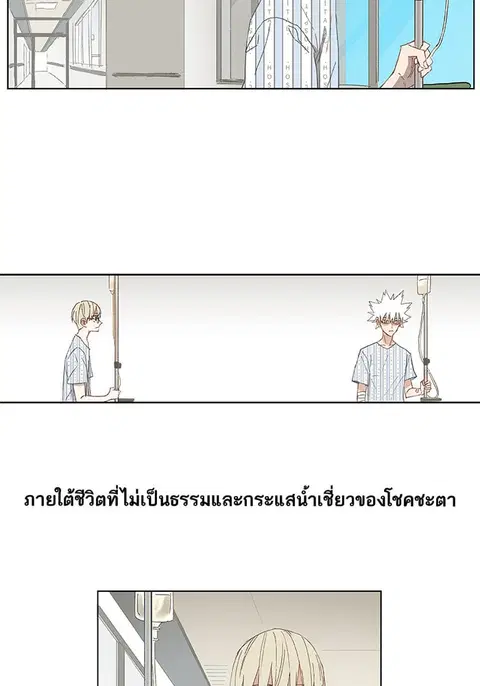 หน้า 37 จาก 43