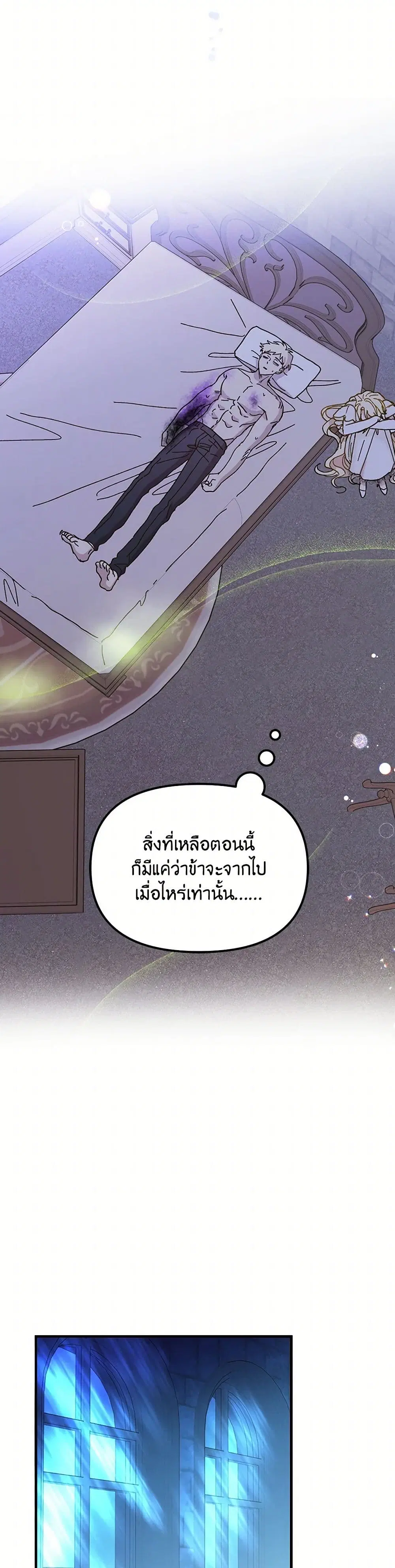 หน้า 27 จาก 42