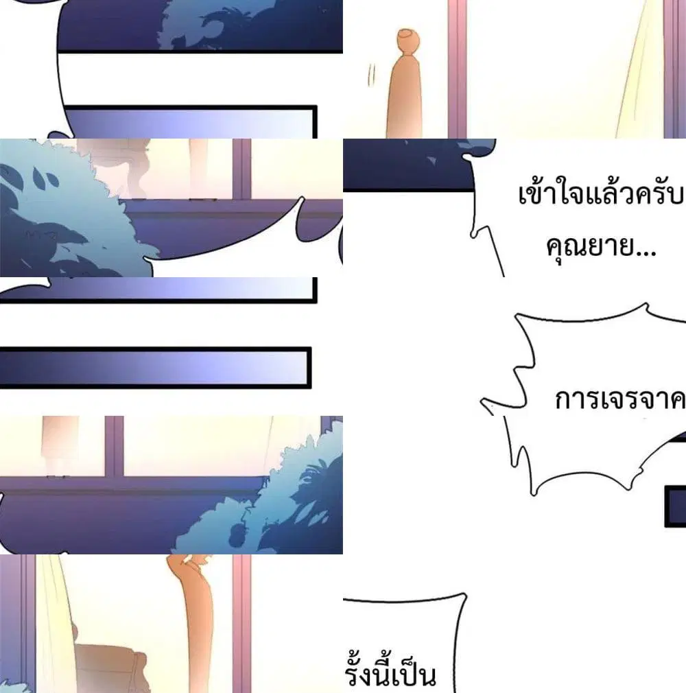 หน้า 13 จาก 13