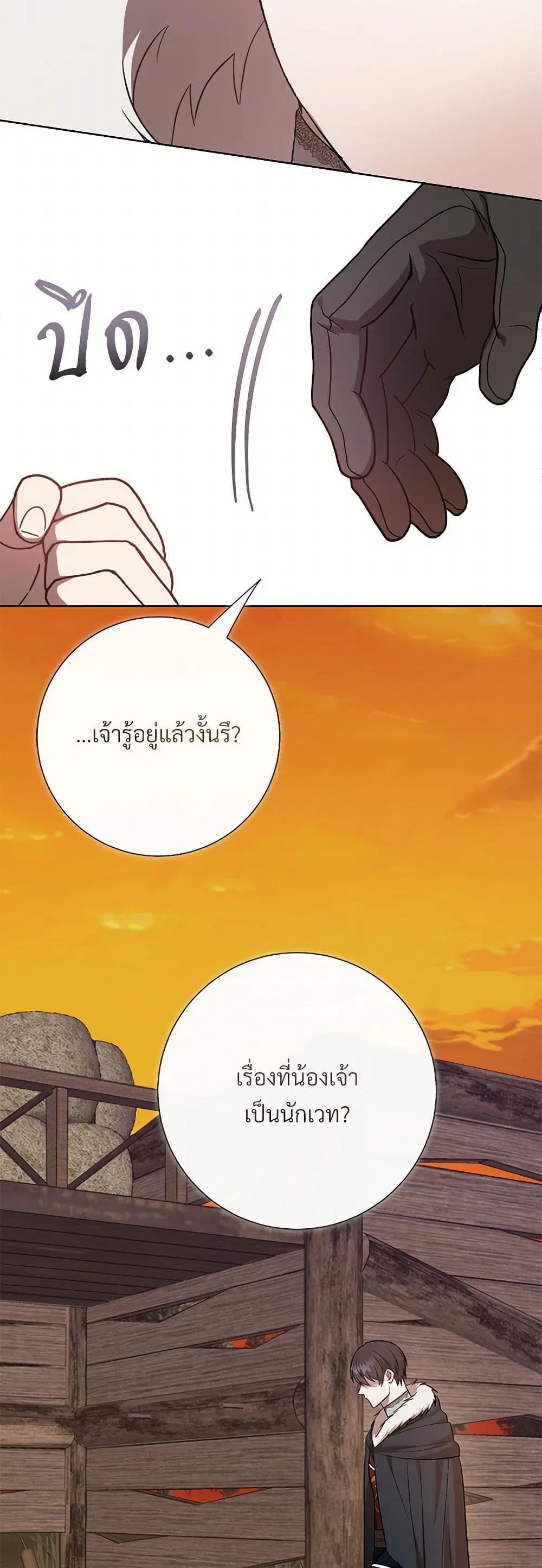 หน้า 28 จาก 41