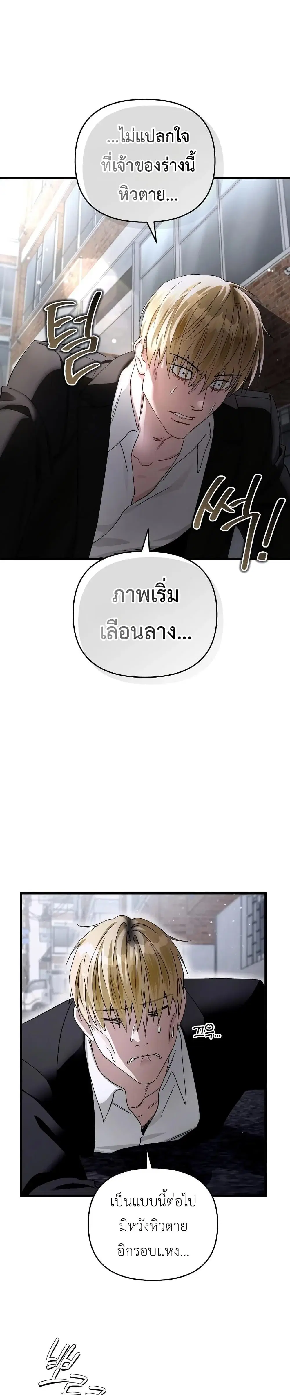 หน้า 17 จาก 51