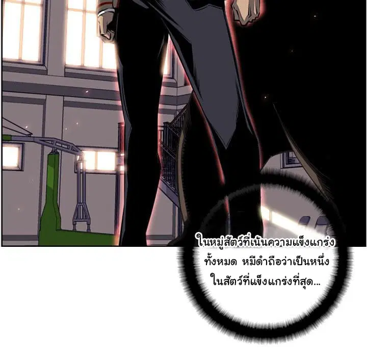 หน้า 55 จาก 116