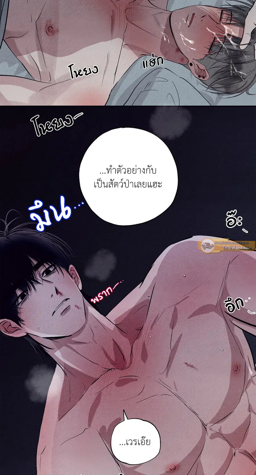 หน้า 30 จาก 78