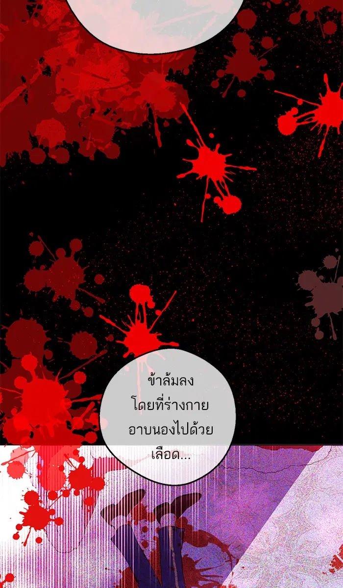 หน้า 13 จาก 81