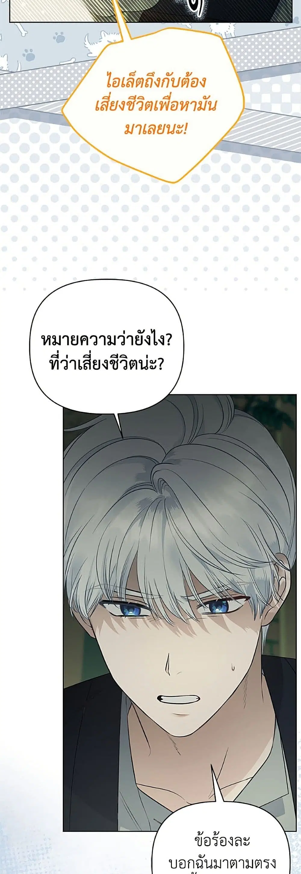 หน้า 19 จาก 52