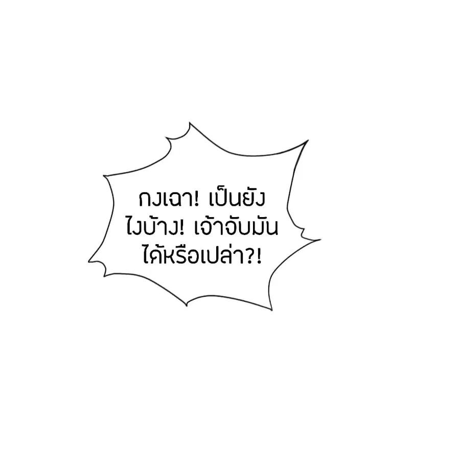 หน้า 13 จาก 24
